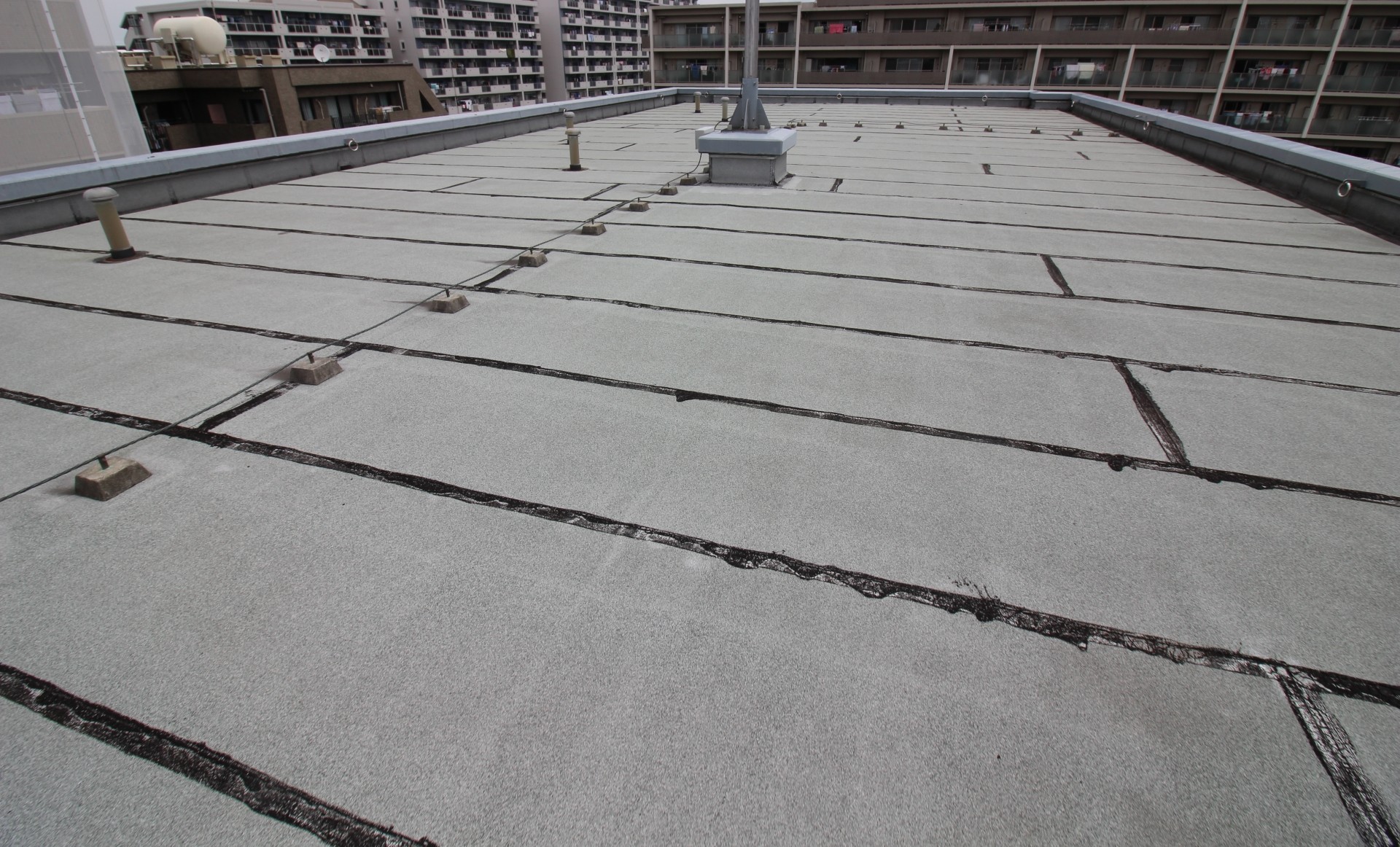 大規模現場で培った施工力