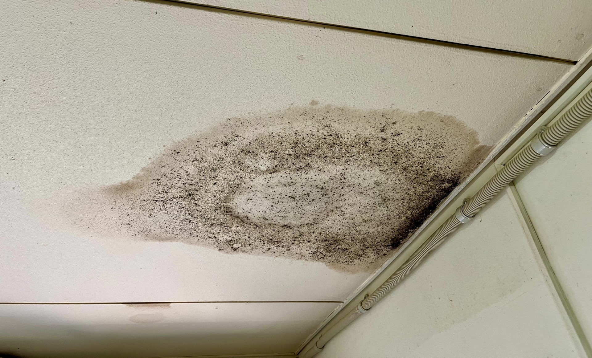 壁や天井の雨染み